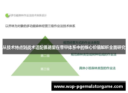 从技术特点到战术适配佩德里在意甲体系中的核心价值解析全面研究